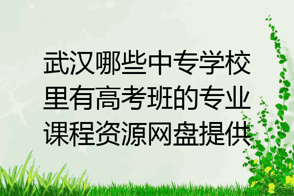 武汉哪些中专学校里有高考班的专业课程资源网盘提供