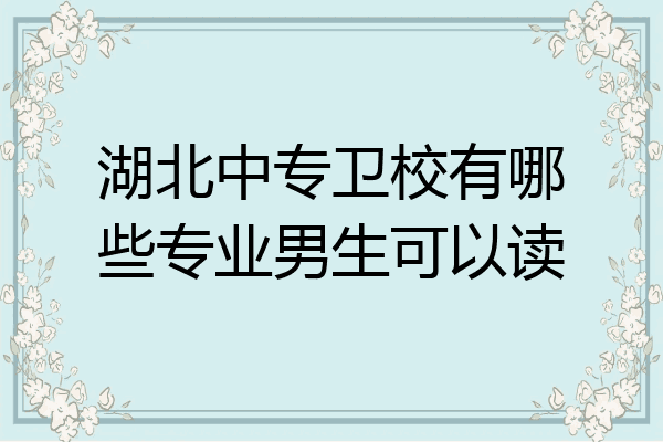 湖北中专卫校有哪些专业男生可以读