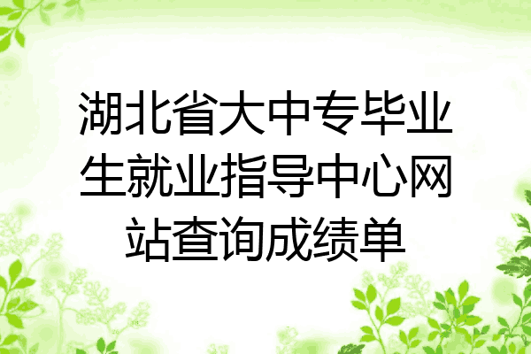 湖北省大中专毕业生就业指导中心网站查询成绩单
