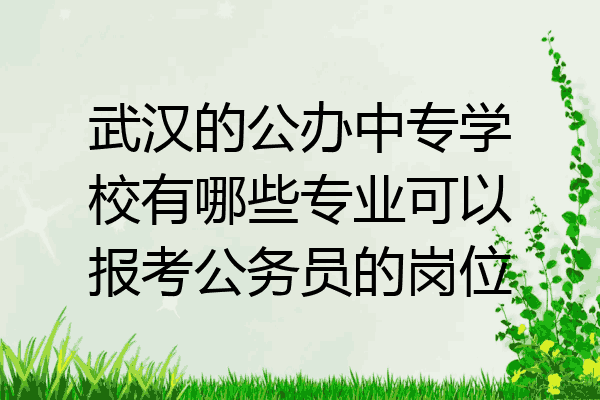 武汉的公办中专学校有哪些专业可以报考公务员的岗位