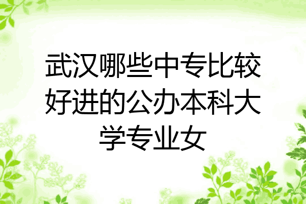 武汉哪些中专比较好进的公办本科大学专业女