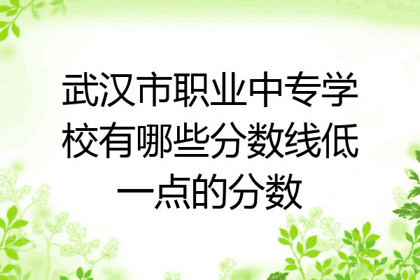武汉市职业中专学校有哪些分数线低一点的分数