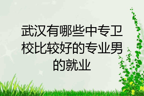 武汉有哪些中专卫校比较好的专业男的就业