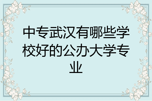 中专武汉有哪些学校好的公办大学专业