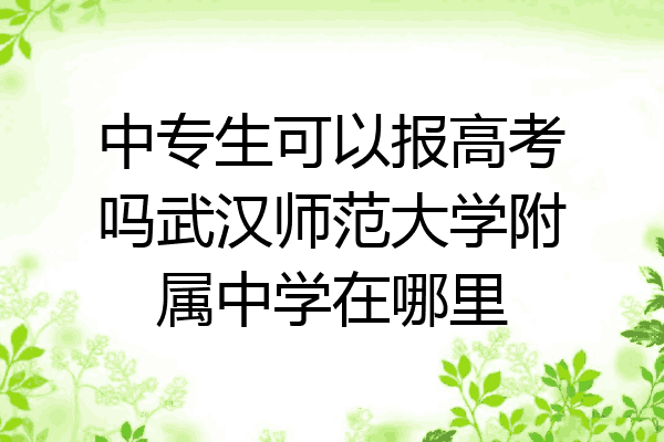 中专生可以报高考吗武汉师范大学附属中学在哪里