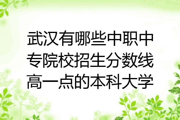 武汉有哪些中职中专院校招生分数线高一点的本科大学