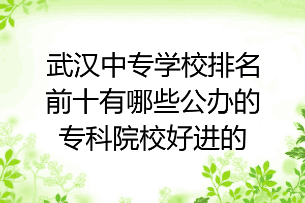 武汉中专学校排名前十有哪些公办的专科院校好进的
