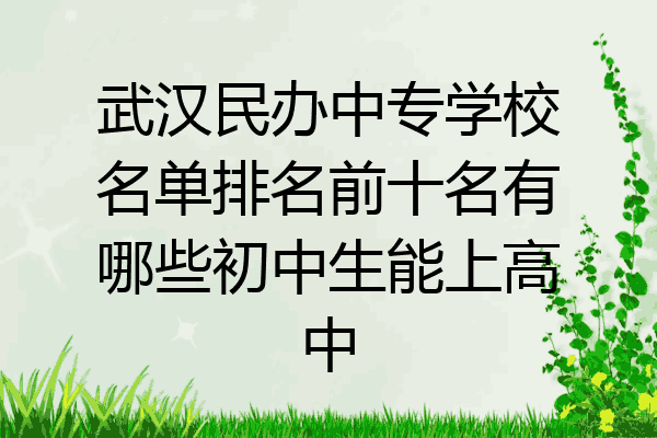 武汉民办中专学校名单排名前十名有哪些初中生能上高中