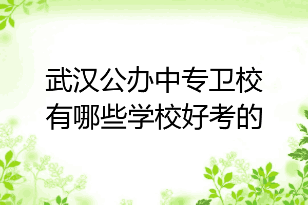 武汉公办中专卫校有哪些学校好考的