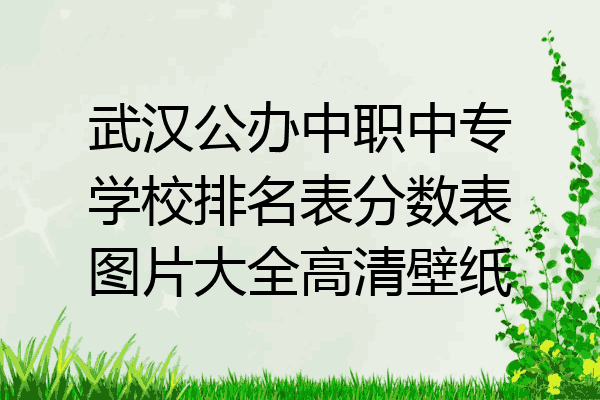 武汉公办中职中专学校排名表分数表图片大全高清壁纸