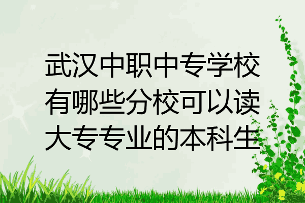 武汉中职中专学校有哪些分校可以读大专专业的本科生