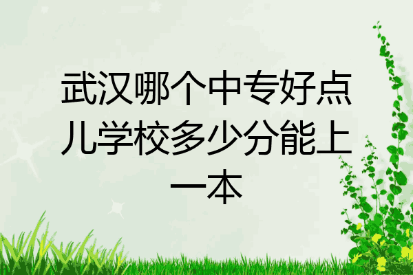 武汉哪个中专好点儿学校多少分能上一本
