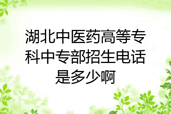 湖北中医药高等专科中专部招生电话是多少啊