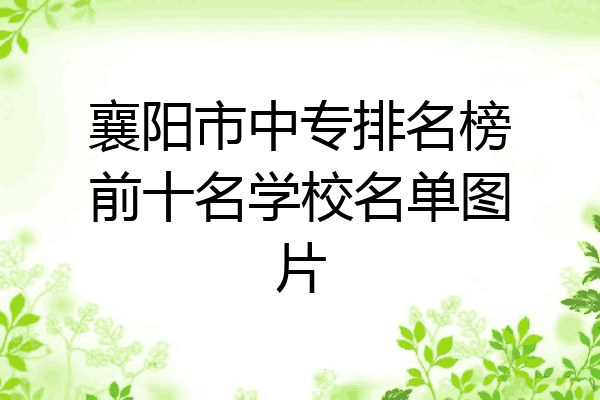 襄阳市中专排名榜前十名学校名单图片