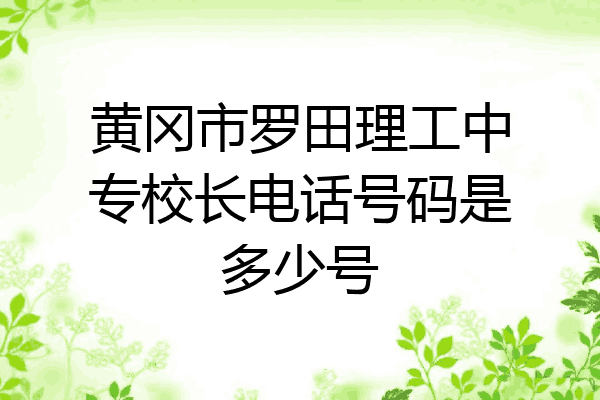 黄冈市罗田理工中专校长电话号码是多少号
