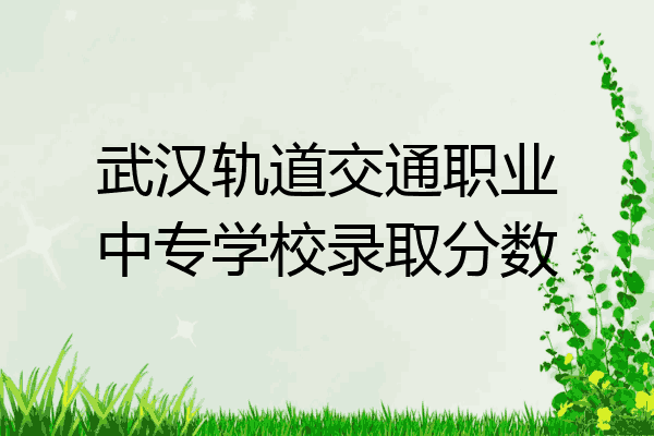 武汉轨道交通职业中专学校录取分数