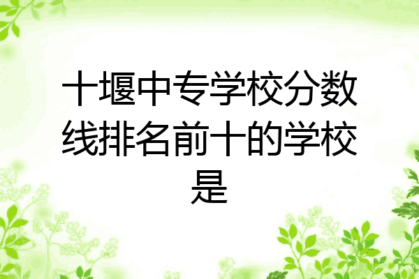 十堰中专学校分数线排名前十的学校是