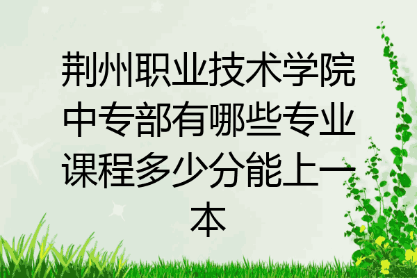 荆州职业技术学院中专部有哪些专业课程多少分能上一本