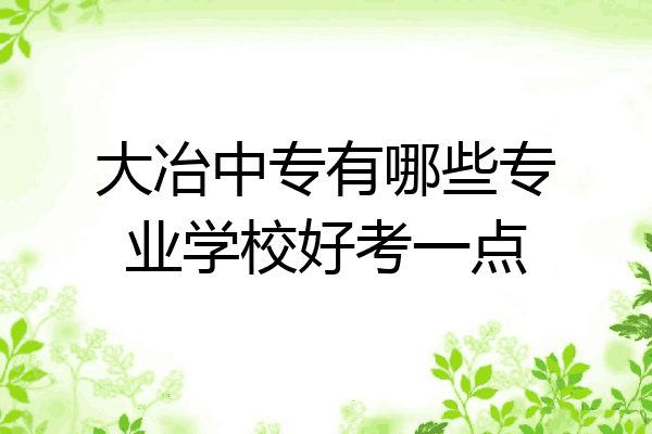 大冶中专有哪些专业学校好考一点