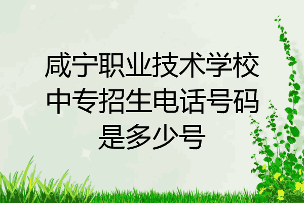 咸宁职业技术学校中专招生电话号码是多少号