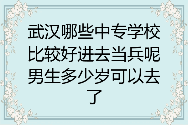 武汉哪些中专学校比较好进去当兵呢男生多少岁可以去了