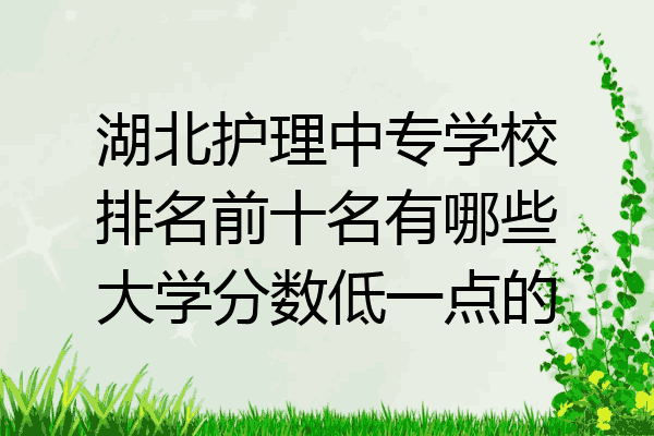 湖北护理中专学校排名前十名有哪些大学分数低一点的