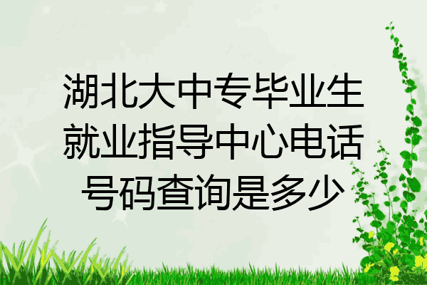 湖北大中专毕业生就业指导中心电话号码查询是多少