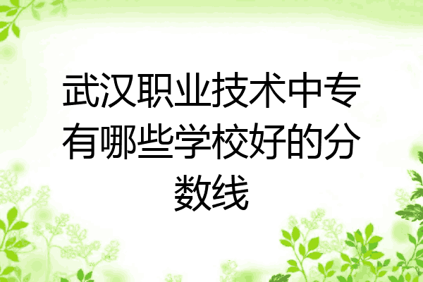 武汉职业技术中专有哪些学校好的分数线