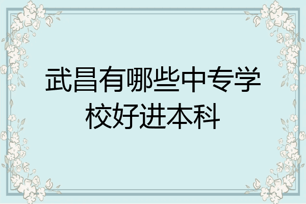 武昌有哪些中专学校好进本科