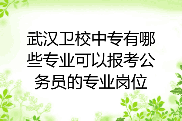 武汉卫校中专有哪些专业可以报考公务员的专业岗位