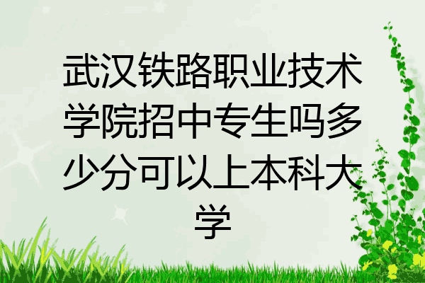 武汉铁路职业技术学院招中专生吗多少分可以上本科大学
