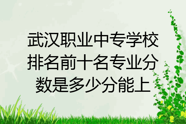 武汉职业中专学校排名前十名专业分数是多少分能上