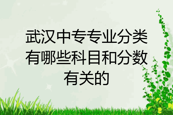 武汉中专专业分类有哪些科目和分数有关的