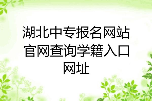 湖北中专报名网站官网查询学籍入口网址