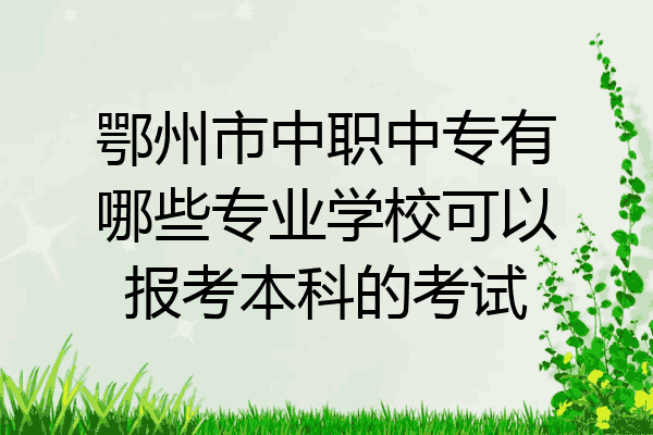 鄂州市中职中专有哪些专业学校可以报考本科的考试