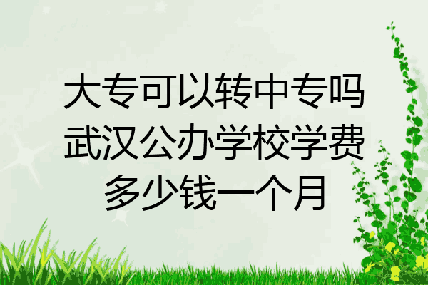 大专可以转中专吗武汉公办学校学费多少钱一个月