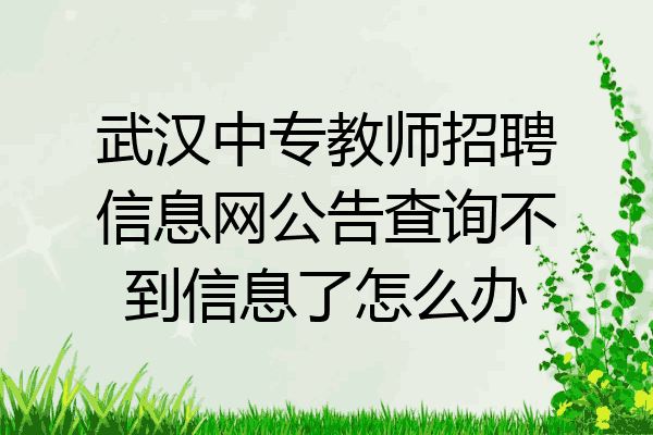 武汉中专教师招聘信息网公告查询不到信息了怎么办