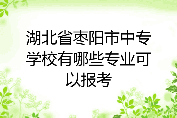 湖北省枣阳市中专学校有哪些专业可以报考