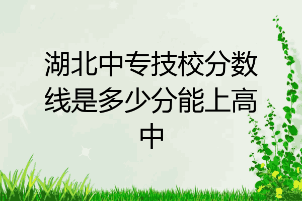 湖北中专技校分数线是多少分能上高中
