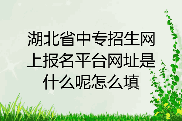 湖北省中专招生网上报名平台网址是什么呢怎么填