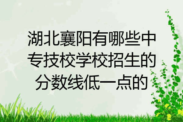 湖北襄阳有哪些中专技校学校招生的分数线低一点的