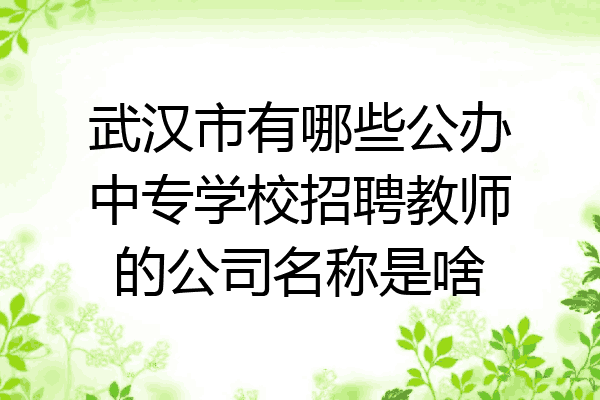 武汉市有哪些公办中专学校招聘教师的公司名称是啥