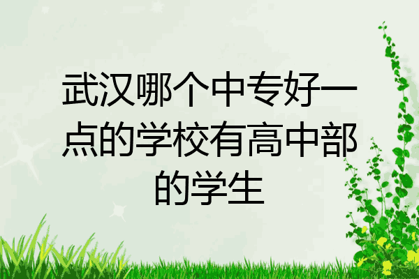 武汉哪个中专好一点的学校有高中部的学生