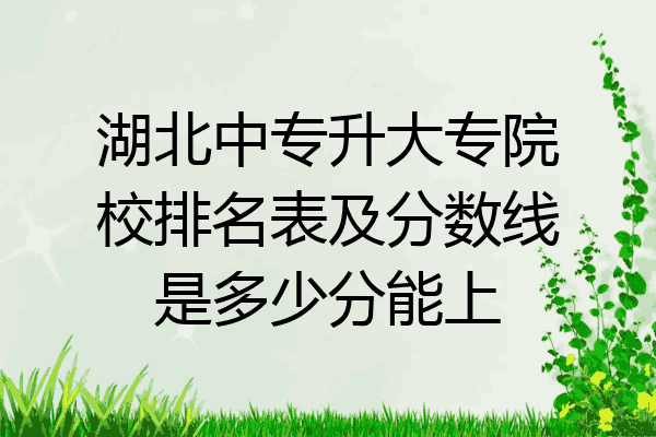 湖北中专升大专院校排名表及分数线是多少分能上