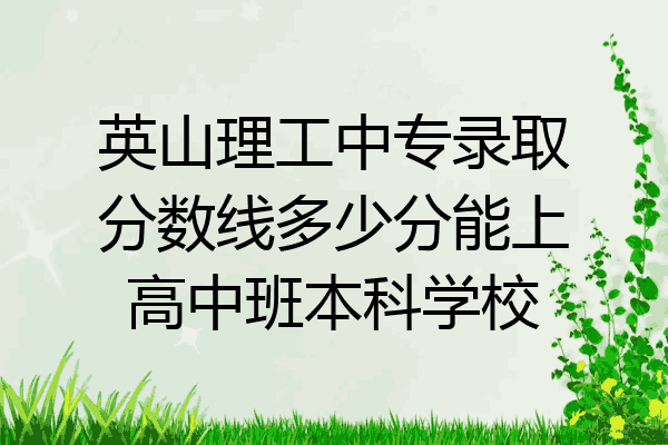 英山理工中专录取分数线多少分能上高中班本科学校