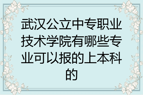 武汉公立中专职业技术学院有哪些专业可以报的上本科的