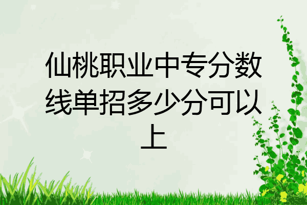 仙桃职业中专分数线单招多少分可以上