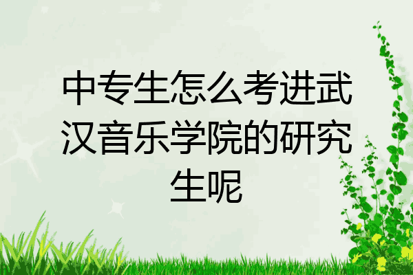 中专生怎么考进武汉音乐学院的研究生呢