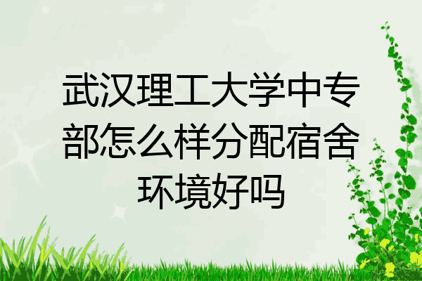 武汉理工大学中专部怎么样分配宿舍环境好吗
