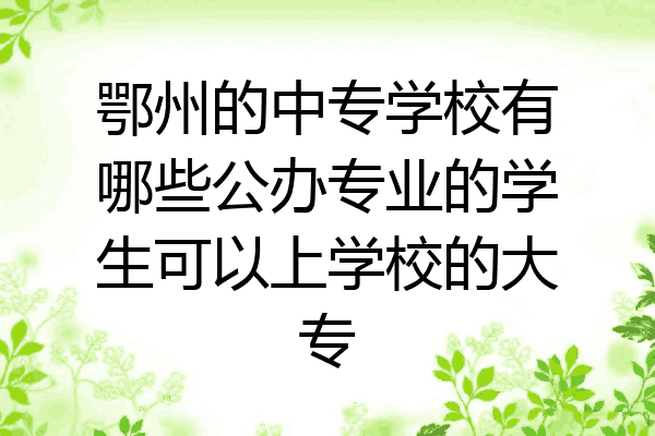 鄂州的中专学校有哪些公办专业的学生可以上学校的大专